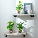 MyGift Set of 3 Fake Plants, Small Artificial Potted Plants Indoor in Clear Glass Pot, 9.5 Inch Faux Plant for Home Decor