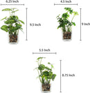 MyGift Set of 3 Fake Plants, Small Artificial Potted Plants Indoor in Clear Glass Pot, 9.5 Inch Faux Plant for Home Decor