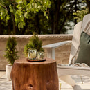 Thymes Frasier Fir Pine Needle Candle – Holiday Candles for Home Scented with Notes of Crisp Siberian Fir, Cedarwood & Sandalwood – Christmas Decor – Christmas Gifts for Women & Men (6.5 oz)