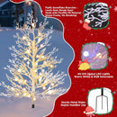Brightever 3FT Small Christmas Tree with Lights, Pre-lit Outdoor Pathway Christmas Tree, White Branch, 40 RGBW LED Bulbs, 8 Lighting Modes, Waterproof Battery Operated Xmas Decor for Outside