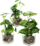 MyGift Set of 3 Fake Plants, Small Artificial Potted Plants Indoor in Clear Glass Pot, 9.5 Inch Faux Plant for Home Decor